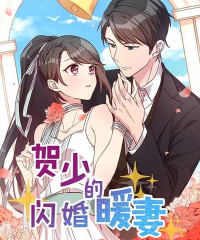 贺少的闪婚暖妻第三季